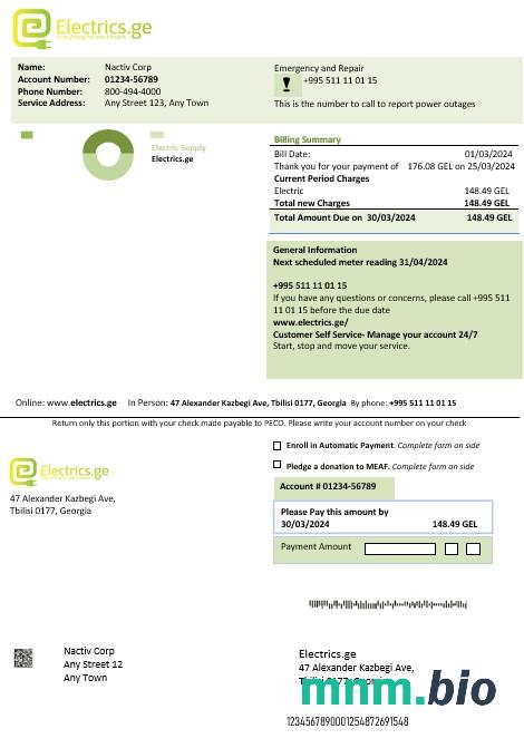 Gruzja Electrics.ge szablon rachunku za energię elektryczną w formatach Word i PDF